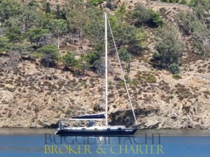 COMAR PHOENIX 50