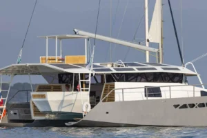 Cataruga Tortue 147 2025 in vendita – foto 8