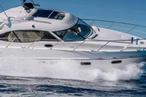 Sealine sc 39 2005 in vendita – foto 2