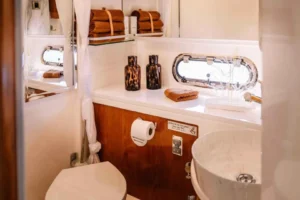Sealine sc 39 2005 in vendita – foto 41