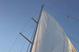 Wauquiez Pilot Saloon 55, Baujahr 2008, zu verkaufen – 11 Fotos